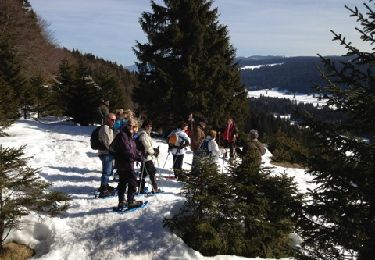 Tour Schneeschuhwandern Bois-d'Amont - Raquettes 12 mars 2012 - Photo