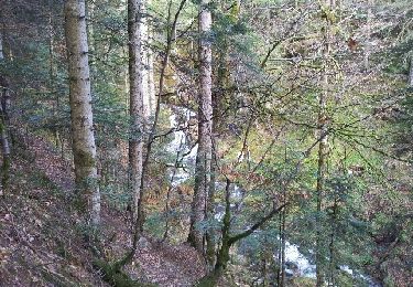 Trail Walking Xonrupt-Longemer - Tour du lac de Retournemer et cascade Charlemagne - Photo