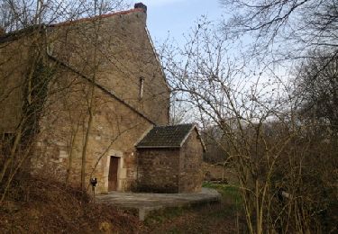 Tour Laufen Theux - de marteau-Spa à brune-heusay - Photo