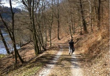 Trail Walking Herbeumont - à trogne Semois  - Photo