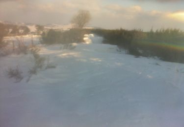 Trail Snowshoes Le Vernet-Sainte-Marguerite - Le bois de Saignes en raquettes - Photo