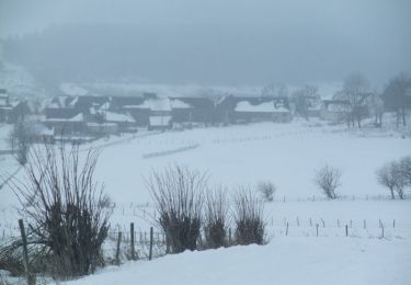 Percorso Marcia Saulzet-le-Froid - Ski de fond près de Zanières autour du Puy de Monténard - Photo