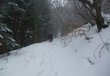 Trail Snowshoes Saint-Victor-la-Rivière - Saint Victor La Rivière, Courbanges, Le Verdier - Photo