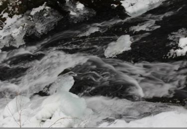 Randonnée Raquettes à neige Xonrupt-Longemer - Cascade de Retournemer - Xonrupt - Photo