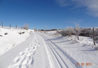 Trail Snowshoes Lacaune - Boucle du Bel Vespré - Lacaune - Photo