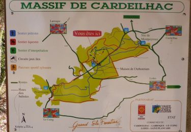 Tour Wandern Cardeilhac - Boucle à Cardeilhac - Photo