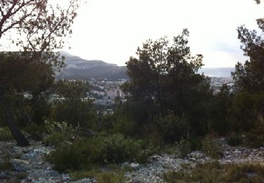 Trail Walking Marseille - Tour des Escamponts - Photo
