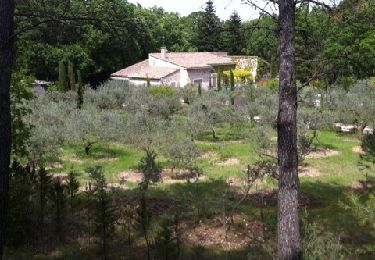 Tour Wandern Saint-Rémy-de-Provence - Rocher des deux trous, mont Gausset - Photo