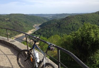 Trail Mountain bike Chambles - VTT Chambles - St Maurice en Gourgois - Photo