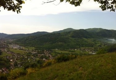 Tour Wandern Hüsseren-Wesserling - marche populaire husseren 2012 - Photo