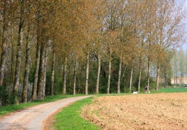 Trail Walking Wancourt - Wancourt - Héninel - Guémappe - Photo