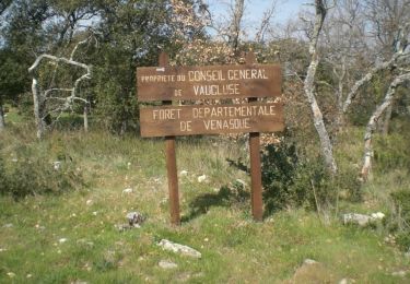 Randonnée V.T.T. Saint-Didier - La Roque - Le Beaucet - Forêt de Venasque - Photo