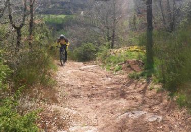 Trail Mountain bike Druelle Balsac - Autour de l'Aveyron de Agnac à Ampiac - Photo