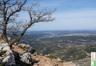 Randonnée Marche Saint-Marc-Jaumegarde - La Croix de Provence depuis le barrage de Bimont, le sentier Imoucha - Photo