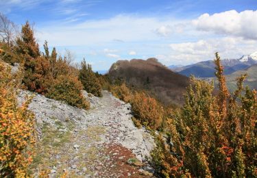Trail Walking Agos-Vidalos - Pic de Pibeste et Pene de Souquette - Photo