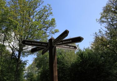 Tour Wandern Rochefort-en-Yvelines - Entre Rochefort en Yvelines,  St Arnoult et Clairefontaine - Photo
