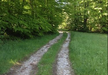 Trail Running Lacabarède - la fontaine des 3 Évêques  - Photo