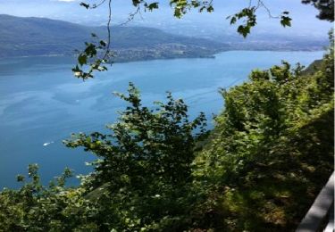 Randonnée V.T.T. Barberaz - tour du lac du Bourget - Photo