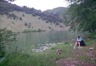 Trail Walking Le Saix - lac de Peyssier - Photo