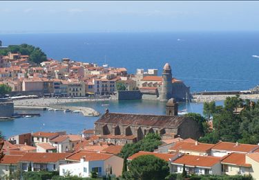Tour Wandern Collioure - Fort Saint-Helmes - Photo