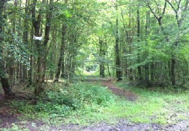 Tour Wandern Longpont - en forêt de Retz_2_Longpont_Fleury_AR - Photo