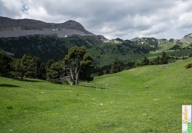 Randonnée Marche Chichilianne - Traversée des Sommets de la Montagnette et du Ranconnet - Chichilianne - Photo