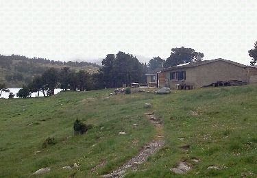 Tocht Stappen Formiguères - les camporeills - Photo