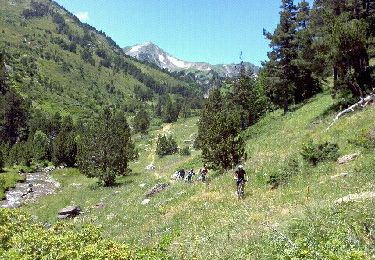 Trail Mountain bike Formiguères - le diable - Photo