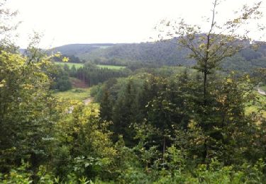 Randonnée V.T.T. Martelange - 35 km débutant  - Photo