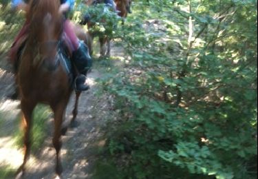 Tour Pferd Sannat - Sannat 1 - Photo