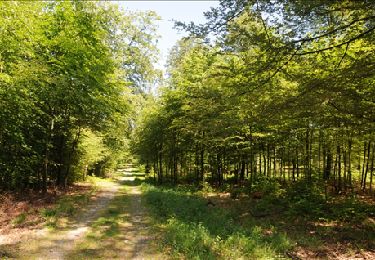 Tour Wandern Florenville - Les Epioux. Natura 2000, des sites qui valent le détour ! Lx 2 - Photo