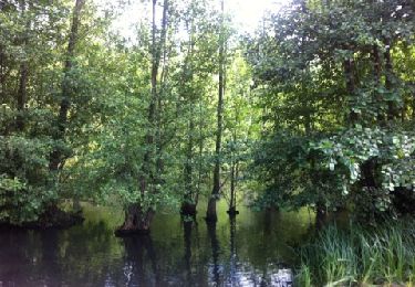 Tour Wandern Saint-Chéron - Héliomonde à St Chéron. AR.  - Photo