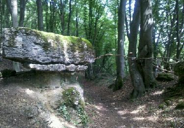 Tour Wandern Ancy-Dornot - Dornot - Croix saint clément - pierre qui tourne - rochers de la Fraze - Photo