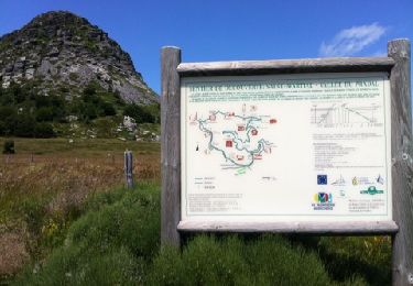 Trail Walking Sainte-Eulalie - Gerbier de jonc - Photo
