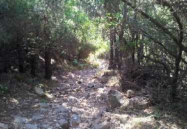 Trail Walking Piana - Capo d'Ortu  - Photo
