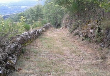 Trail Walking Saint-Félicien - le moulin des gaillards - Photo