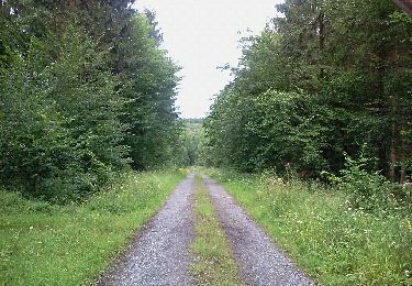 Trail Walking Liessies - mrlobo - Photo