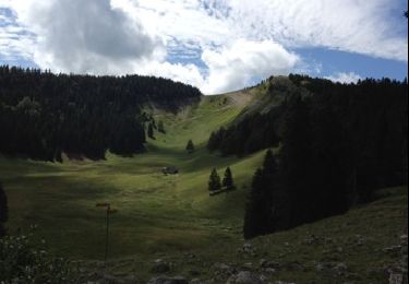 Tour Wandern Saint-Cergue - la cure le creux du crou - Photo