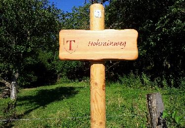 Trail Walking Zillisheim - Zillisheim  - Photo