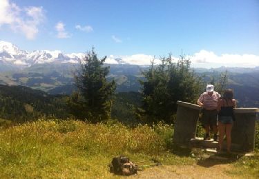 Tour Wandern Praz-sur-Arly - Refuge du Plan de l'Are et Tête du Torraz - Photo