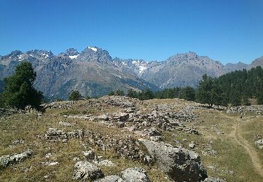 Tour Wandern Puy-Saint-Vincent - tete - Photo