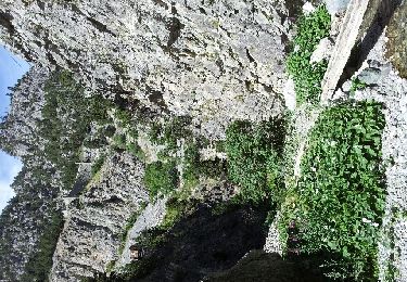 Percorso Marcia Monginevro - Gorge de St Gervais - Photo