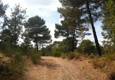 Excursión Senderismo La Roque-d'Anthéron - val de castellas - Photo