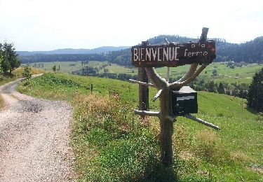 Trail Walking Bourg-Bruche - Le Climont par le Hang - Photo