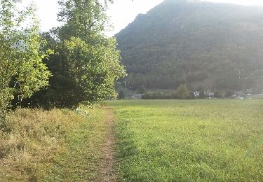 Trail Walking Saint-Lary-Soulan - Entre Saint Lary Soulan et Vignec - Photo