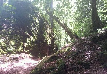 Trail Walking Vic-sur-Cère - pas de cere - Photo