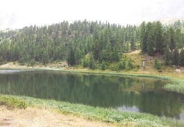 Excursión Senderismo Ceillac - lac miroir  - Photo