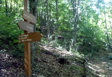 Trail Walking Saint-Auban - Col de l'Escouissier - Photo