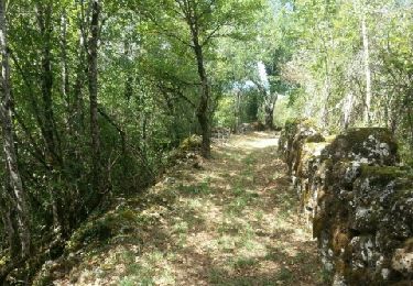 Trail Walking Queyssac-les-Vignes - Le vin paillé - Photo