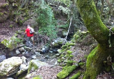 Trail Walking Bigorno - bigornu vers murato - Photo